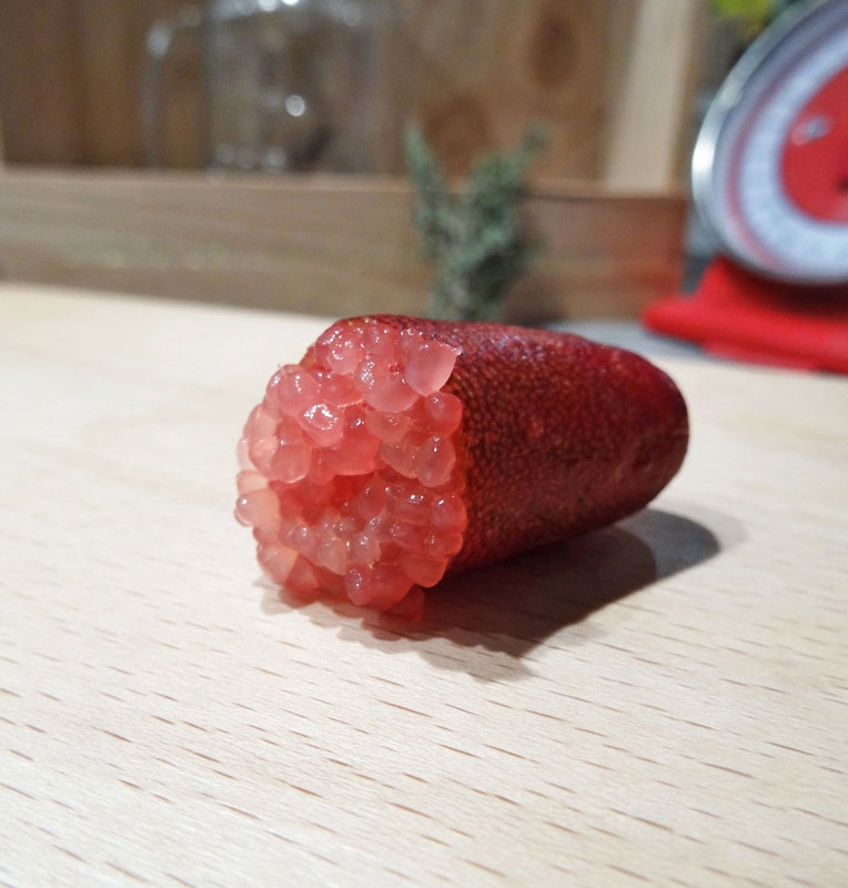 Citron Caviar Rose pink ice entier 500g provenance Australie