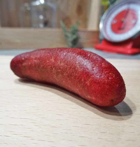 Citron Caviar Rose pink ice entier 500g provenance Australie