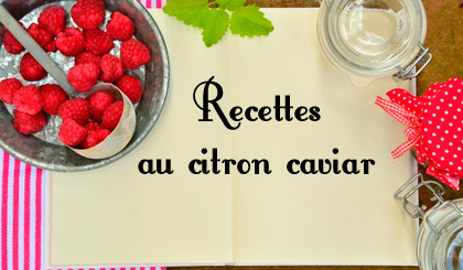 Ensemble de recettes au citron caviar